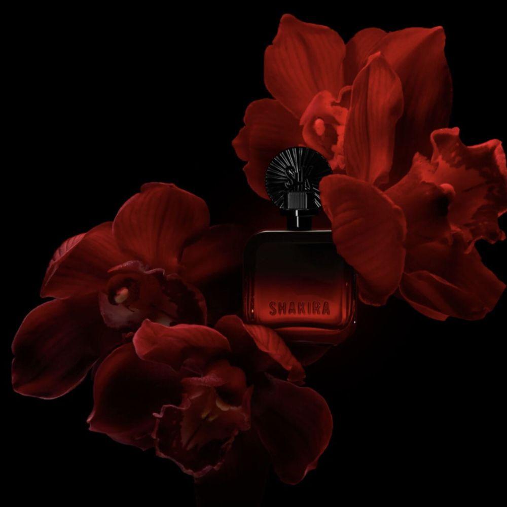 Shakira Rojo Elixir Eau de Parfum Feminino