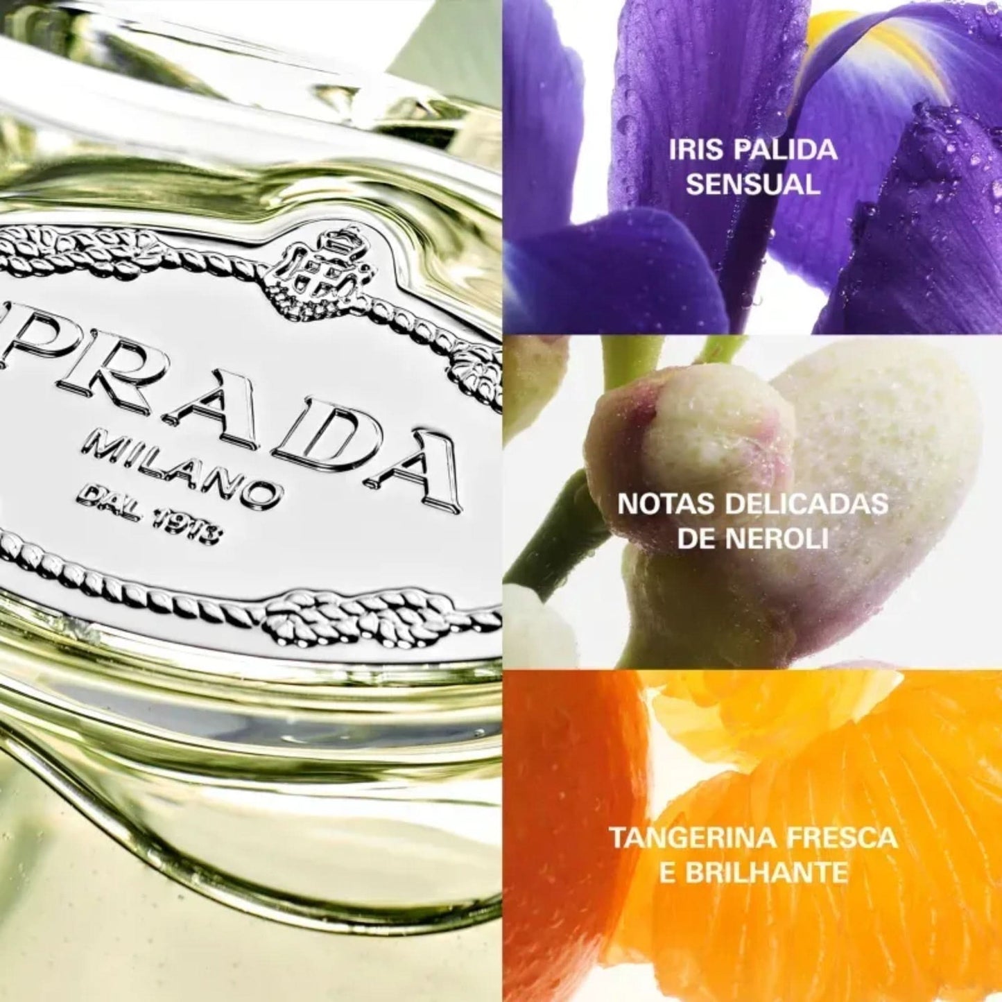Prada Coff Les Infusions D'Iris Eau de Parfum