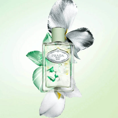 Prada Coff Les Infusions D'Iris Eau de Parfum
